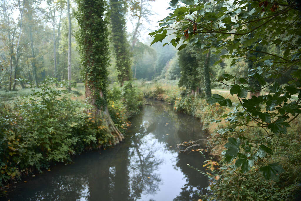 Court d'eau